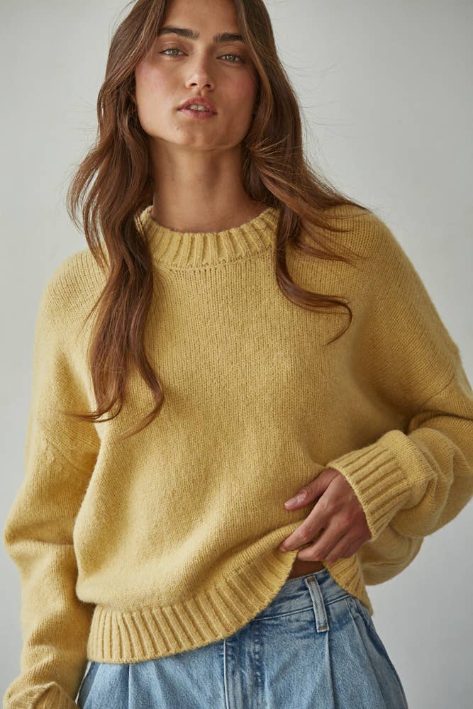 Knit Sweater Crew Neck Long Sleeve Pullover Top: Honey