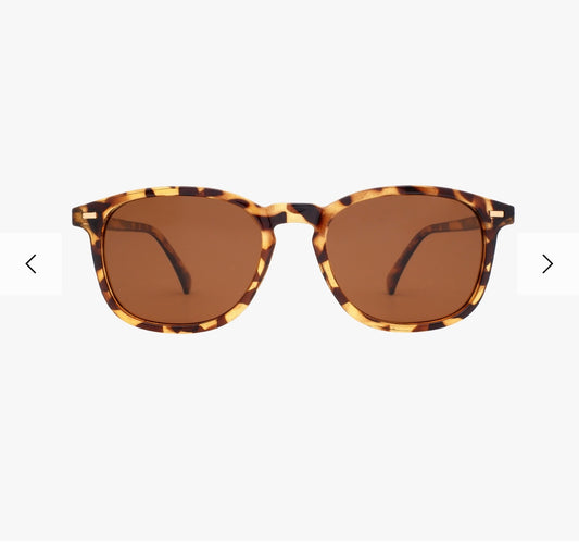 Polarized Bean Classic Tortoise Sunglasses