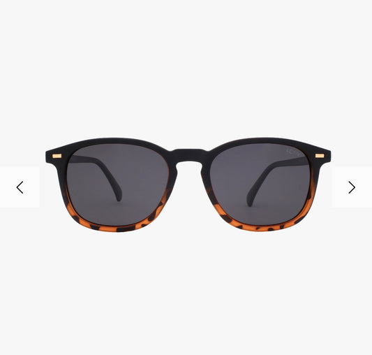 Polarized Bean Midnight Fade Sunglasses