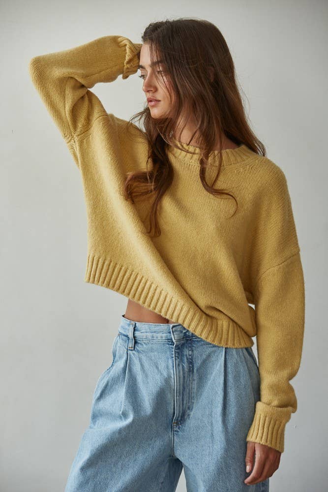 Knit Sweater Crew Neck Long Sleeve Pullover Top: Honey
